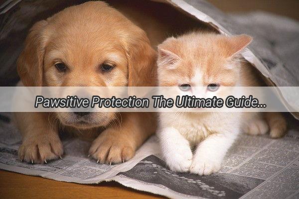 Pawsitive Protection The Ultimate Guide to Safely Administering Flea and Tick Medication to Your Furry Friend